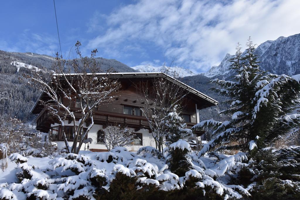 Apartment Falkner Dorli