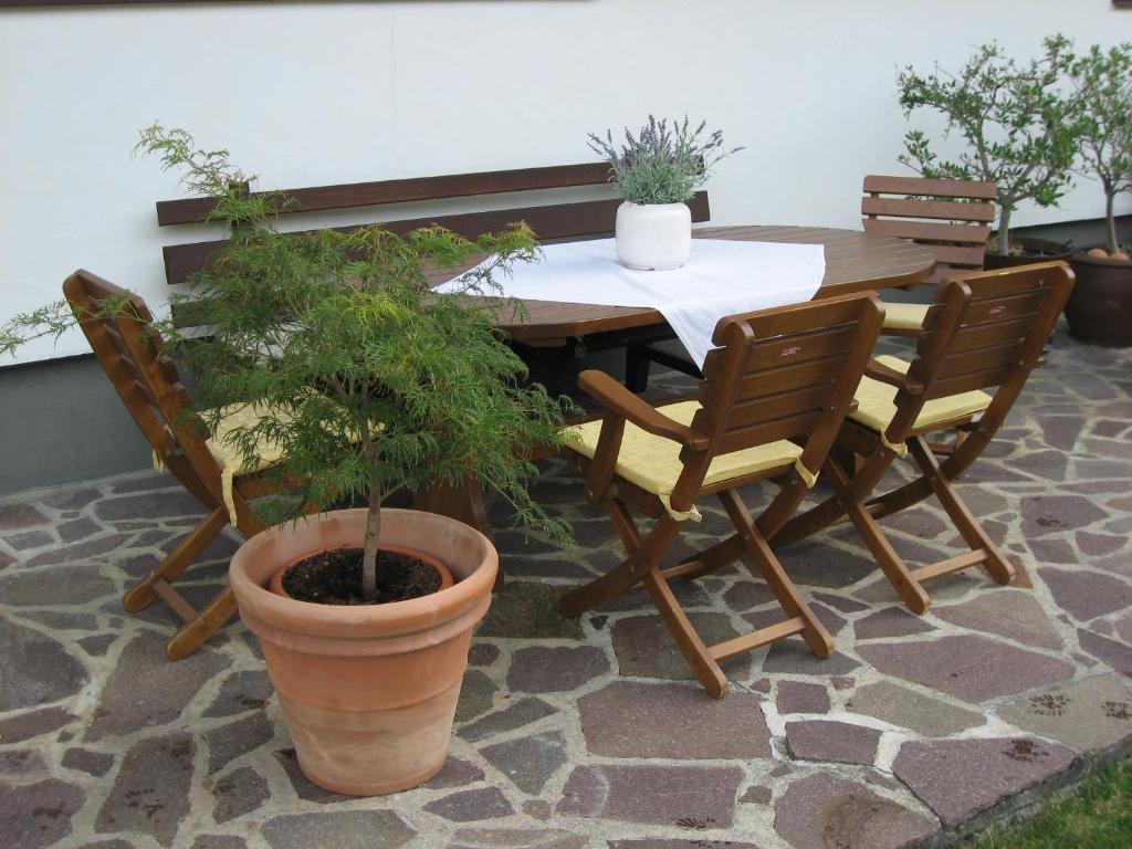 Apartment Falkner Dorli